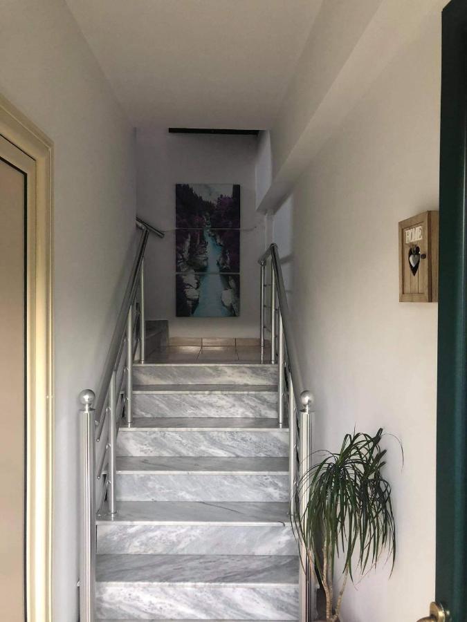 The Olive View Apartment By Ceni, Елбасан Екстериор снимка